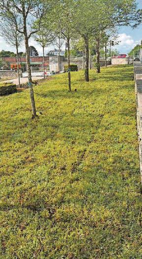 Armada Way work is hailed by council