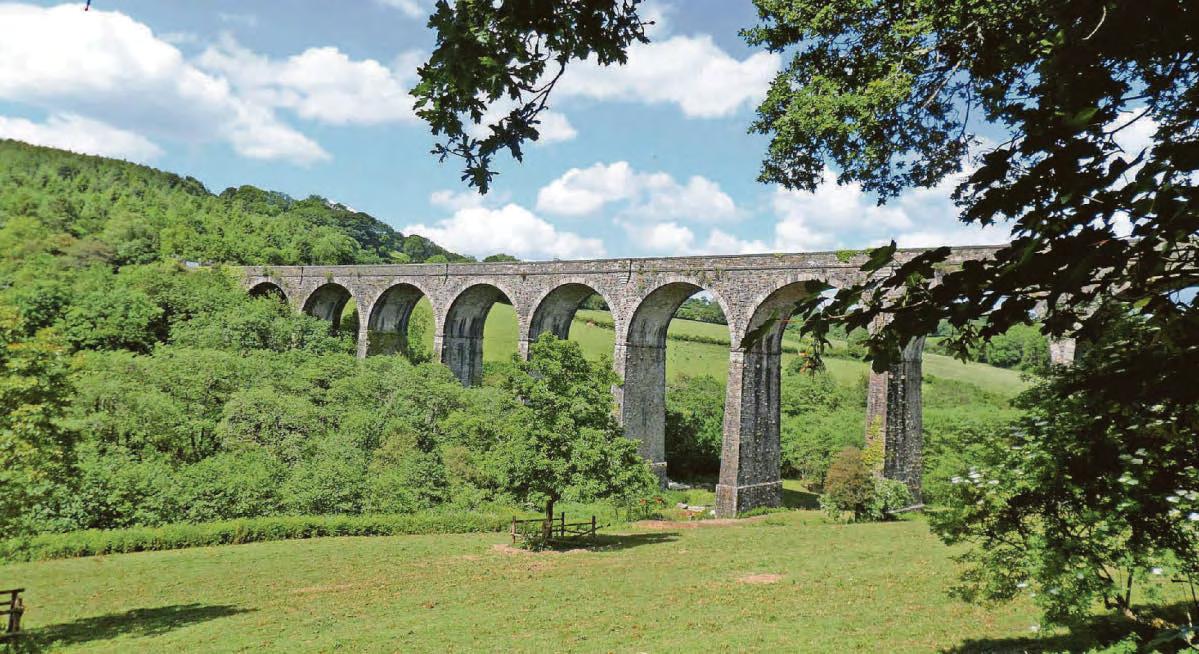 Appeal to restore the Plymouth-Tavi rail link