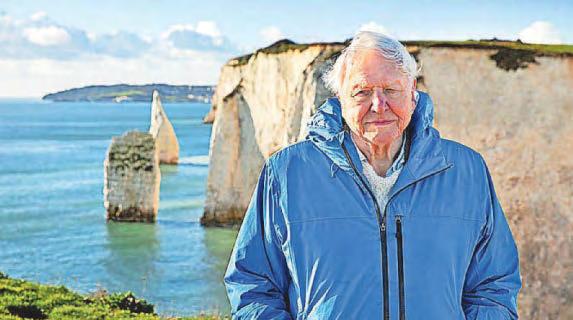 'Hidden' reef found by documentary makers