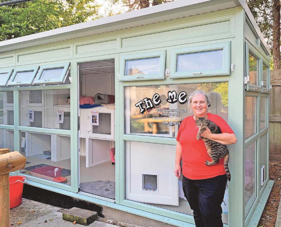 Woodside cats settling into rebuilt care facility