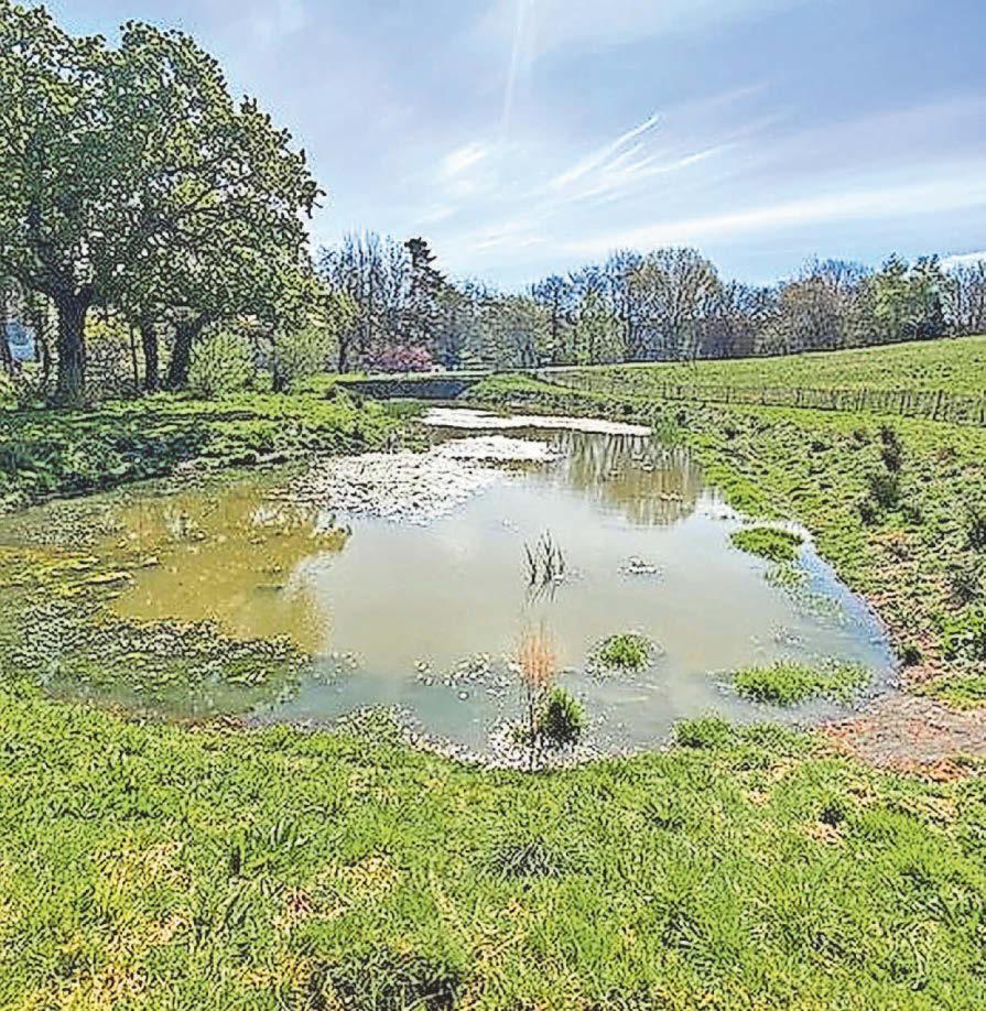 Central Park work will be over three years late