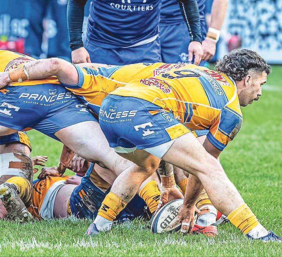 Bounceback win sets Albion up perfectly for Rotherham