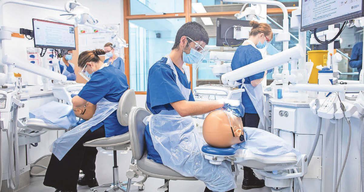 'Desperate need' to be training new dentists