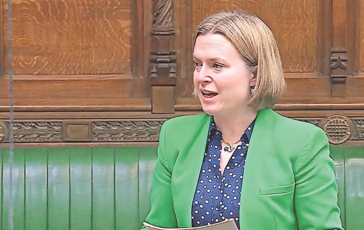 Call to ringfence funds from district councils