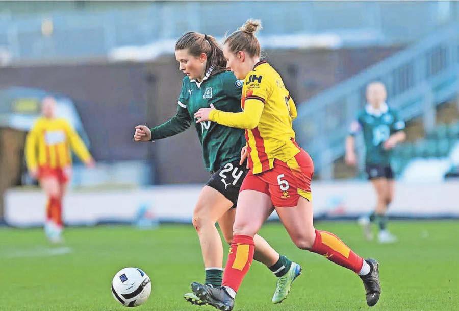 Argyle stung by three late goals in defeat to Hornets