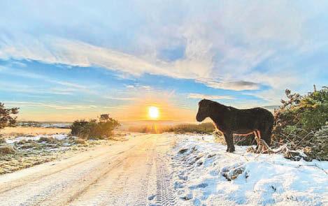 Embracing the beauty of winter