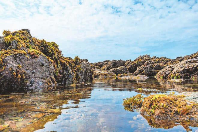 How the sea heals our minds