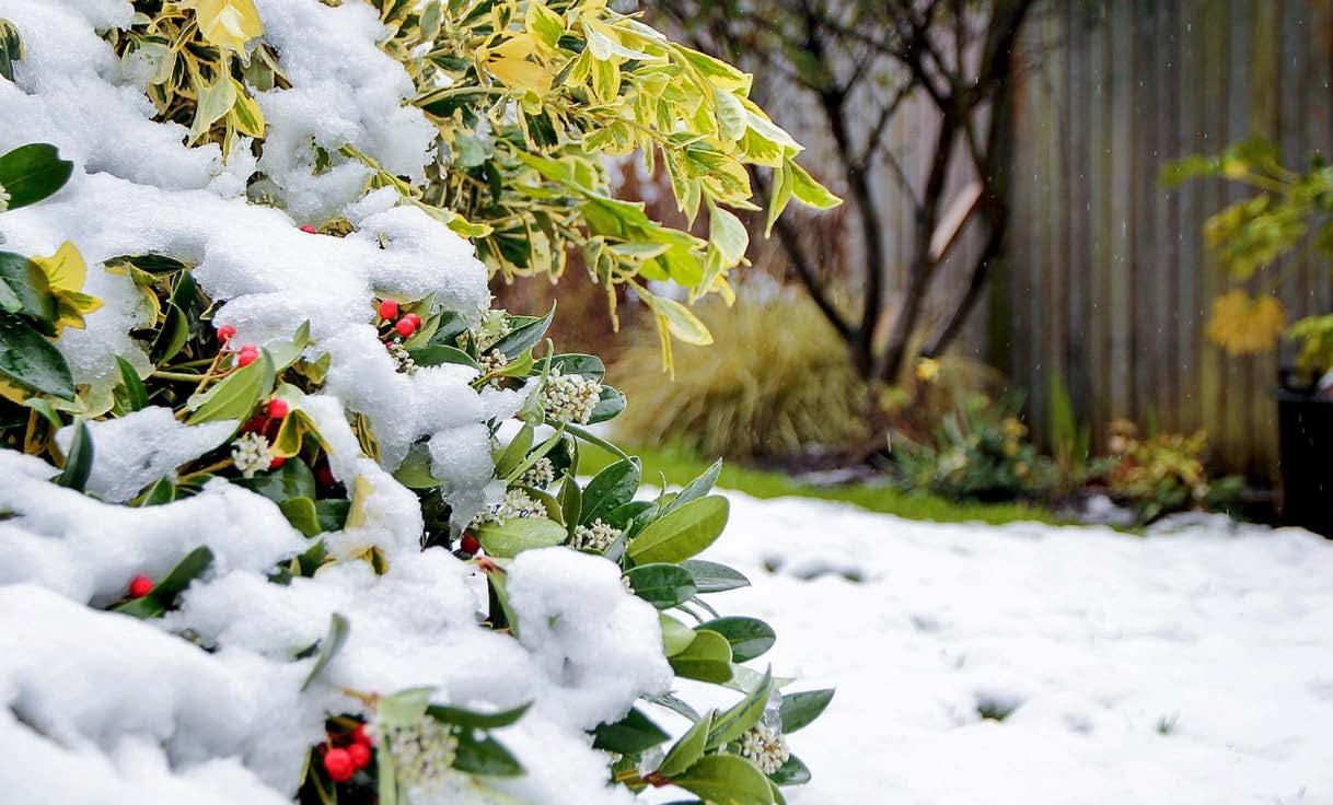 Time for a garden reset...