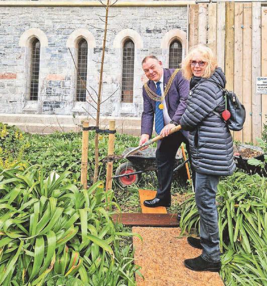 City given £7.3m for huge tree planting programme