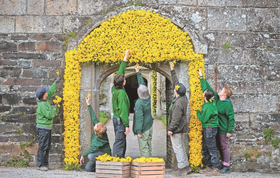 Cotehele turns to gold