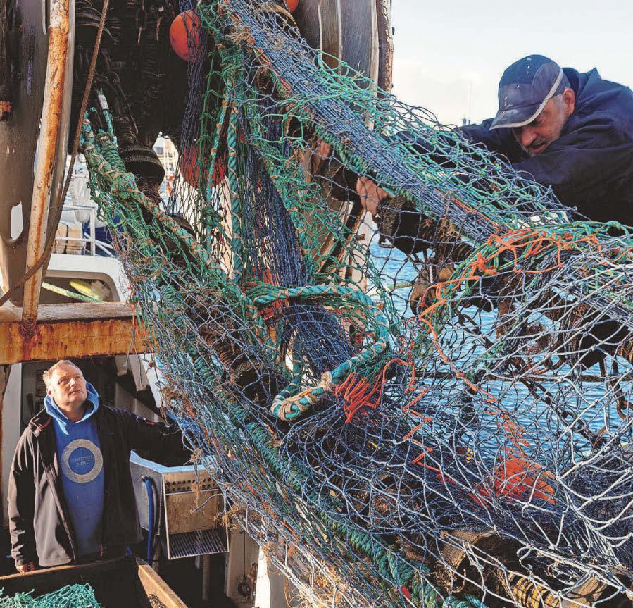 Campaign to reconnect city with its fishing fleet