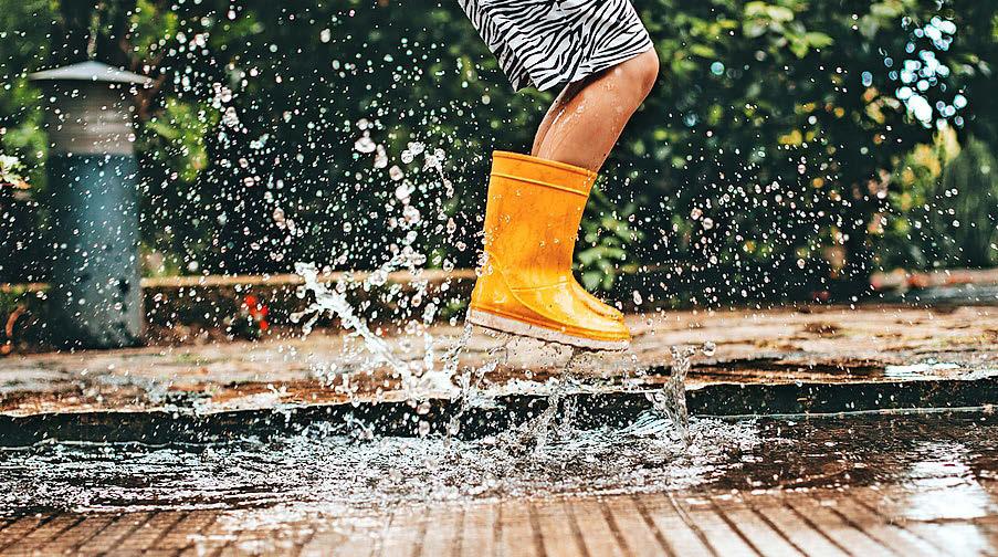 Rain gardens make a splash