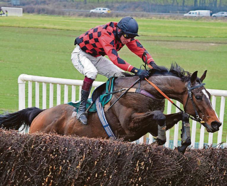 King rides his 50th race winner for trainer Price