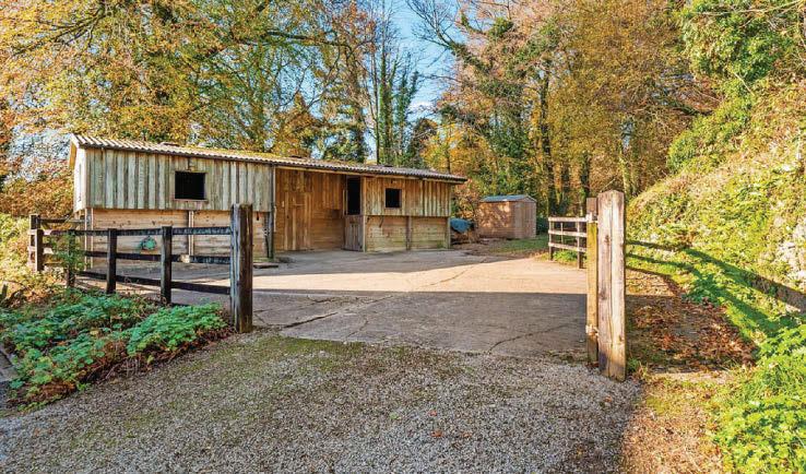 IDEAL FOR HORSE LOVERS