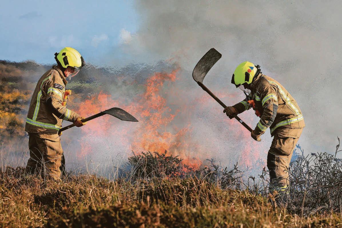 Weeks of wildfires have 'decimated' ecosystems
