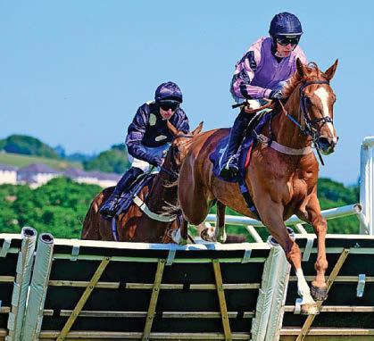 More success for Nicholls and Tizzard