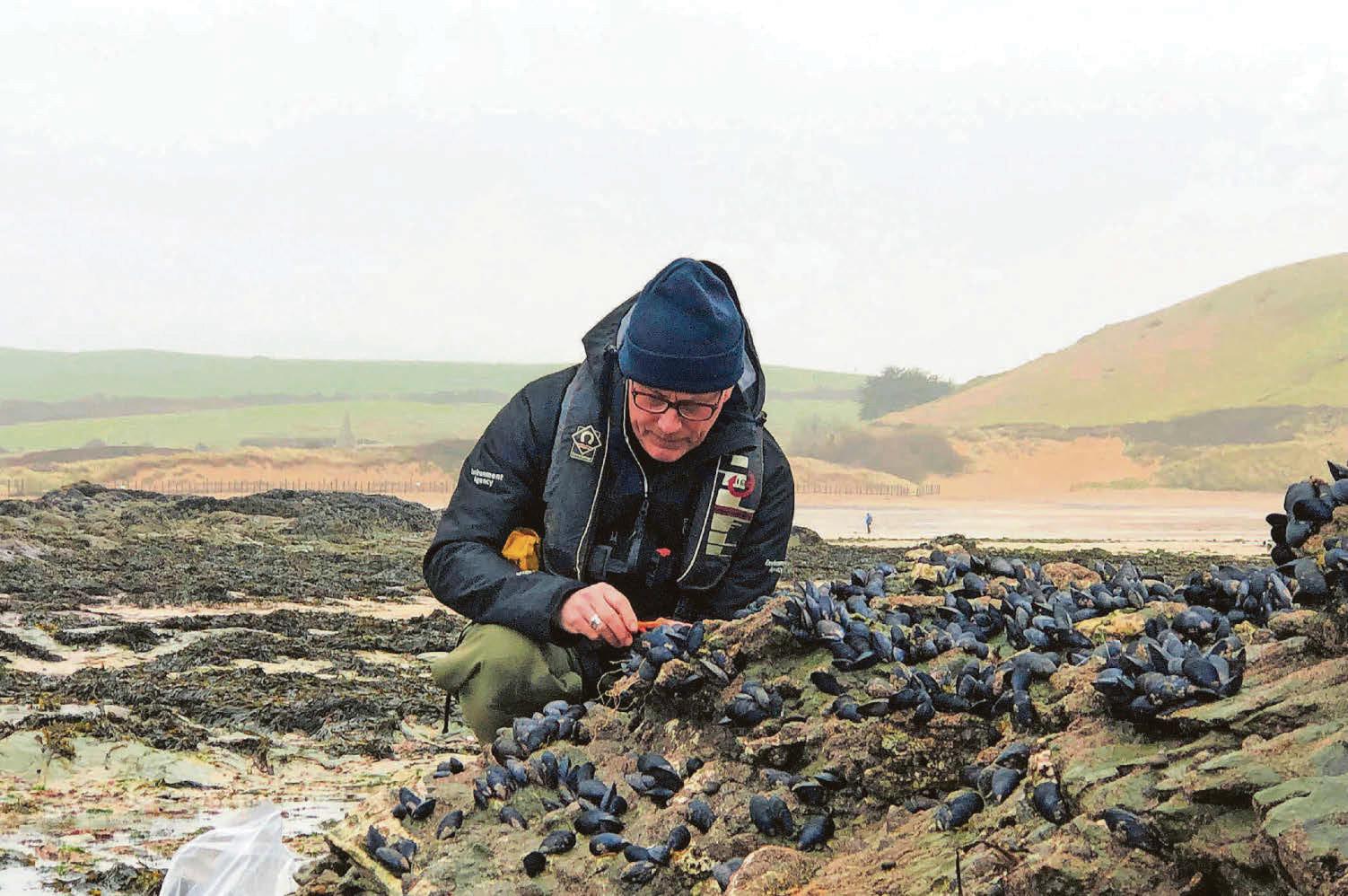 Mussel declines prompt new seawater sampling techniques