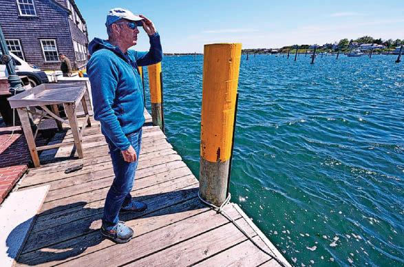 Lewis completes Jaws swim to highlight plight of sharks