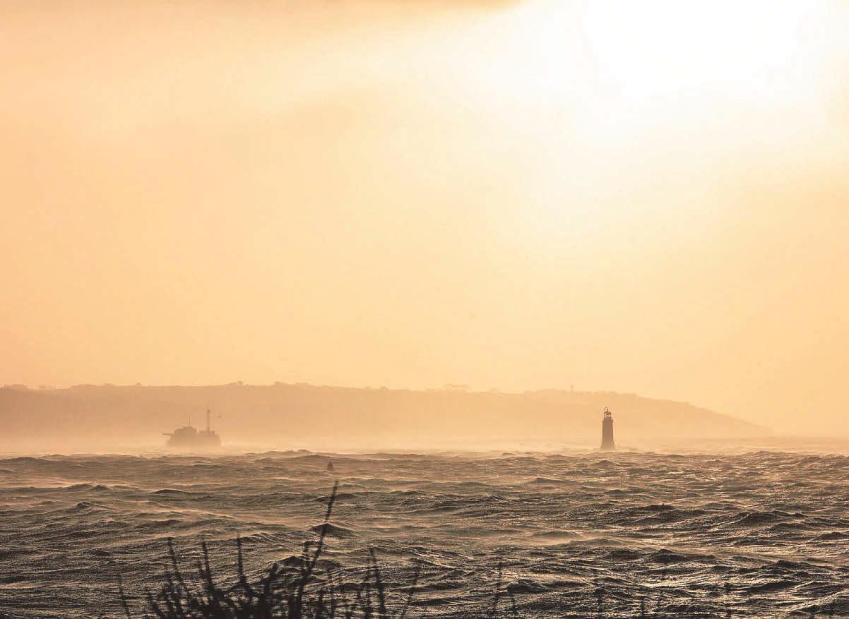 Coastal outflows risk of airborne microplastics