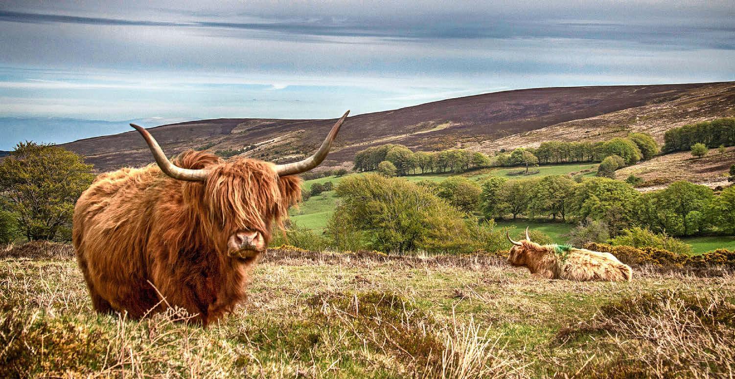 Prosperous upland farms vital to UK landscape: NFU