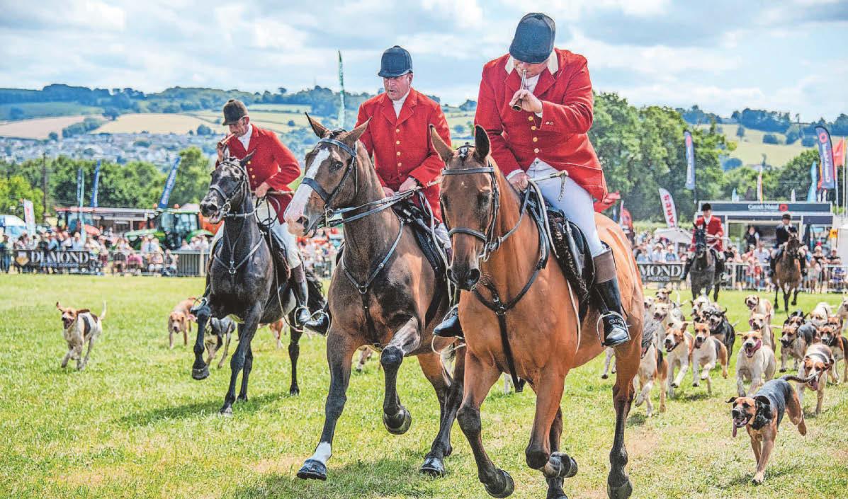 Show-goers treated to glorious weather and 'first class' exhibits