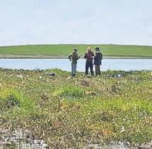 Setting the bog standard for healthy wetlands