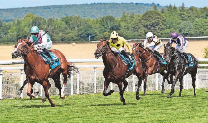 Pacemaker Qirat stuns big guns to land Sussex Stakes