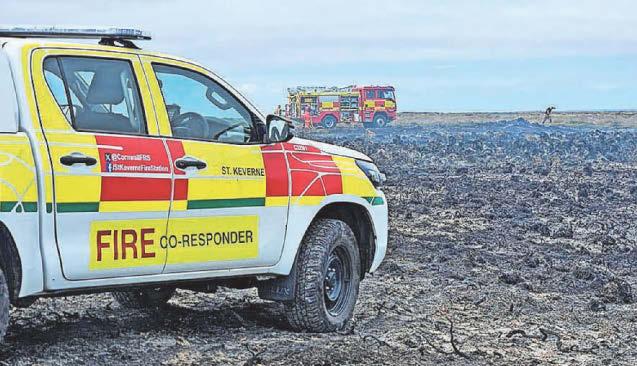 Coastal heaths left scorched by gorse fires