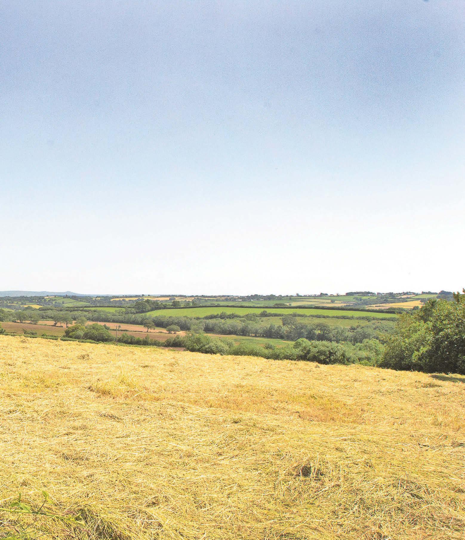 Council could sell off its farms estate to reduce debts