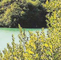 China clay mining museum launches photo competition