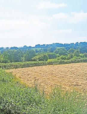 Busy remedying fall-out from dry spells