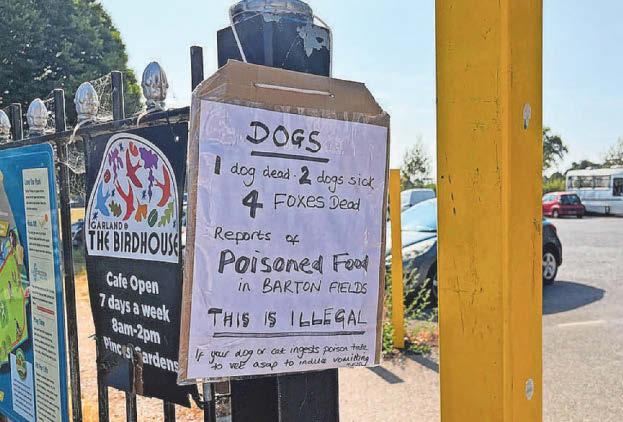 Dogs and foxes die after visits to city park
