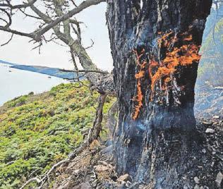 Crews' two-day battle to extinguish cliffside blaze
