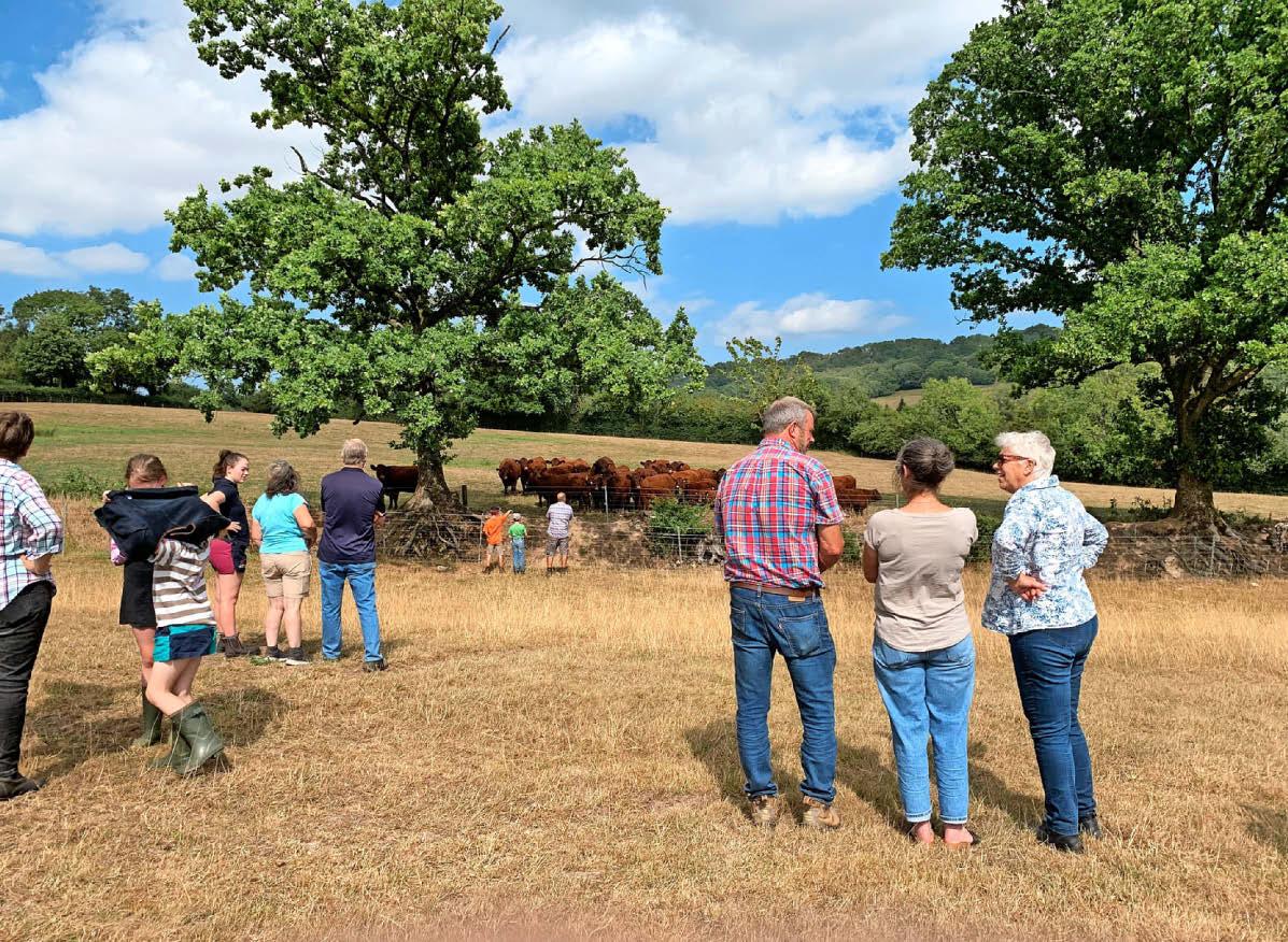 Family's pride in first-rate flock is clear to see at club open day