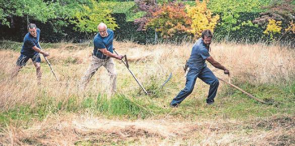 Three men went to mow – royal meadow gets a trim