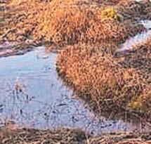 Season of work lies ahead to restore and protect peatlands