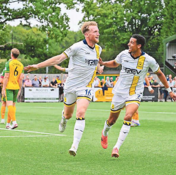 Hamon says sorry as costly error condemns Gulls to defeat