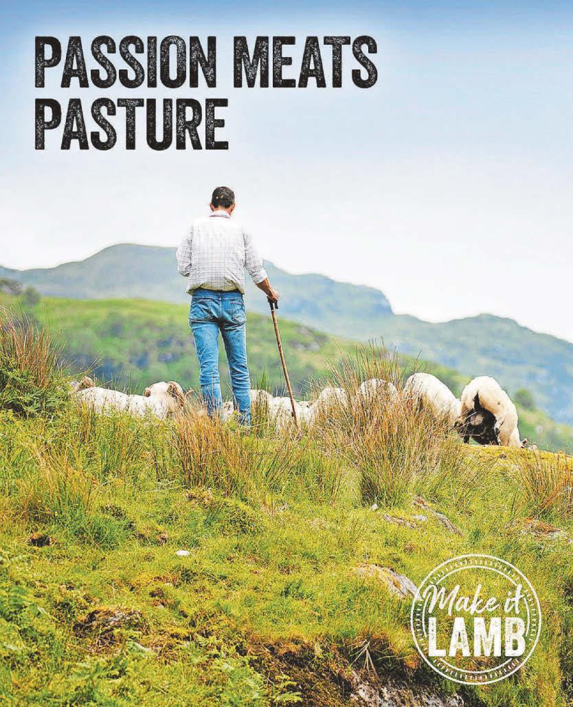 Industry to collaborate for Love Lamb Week