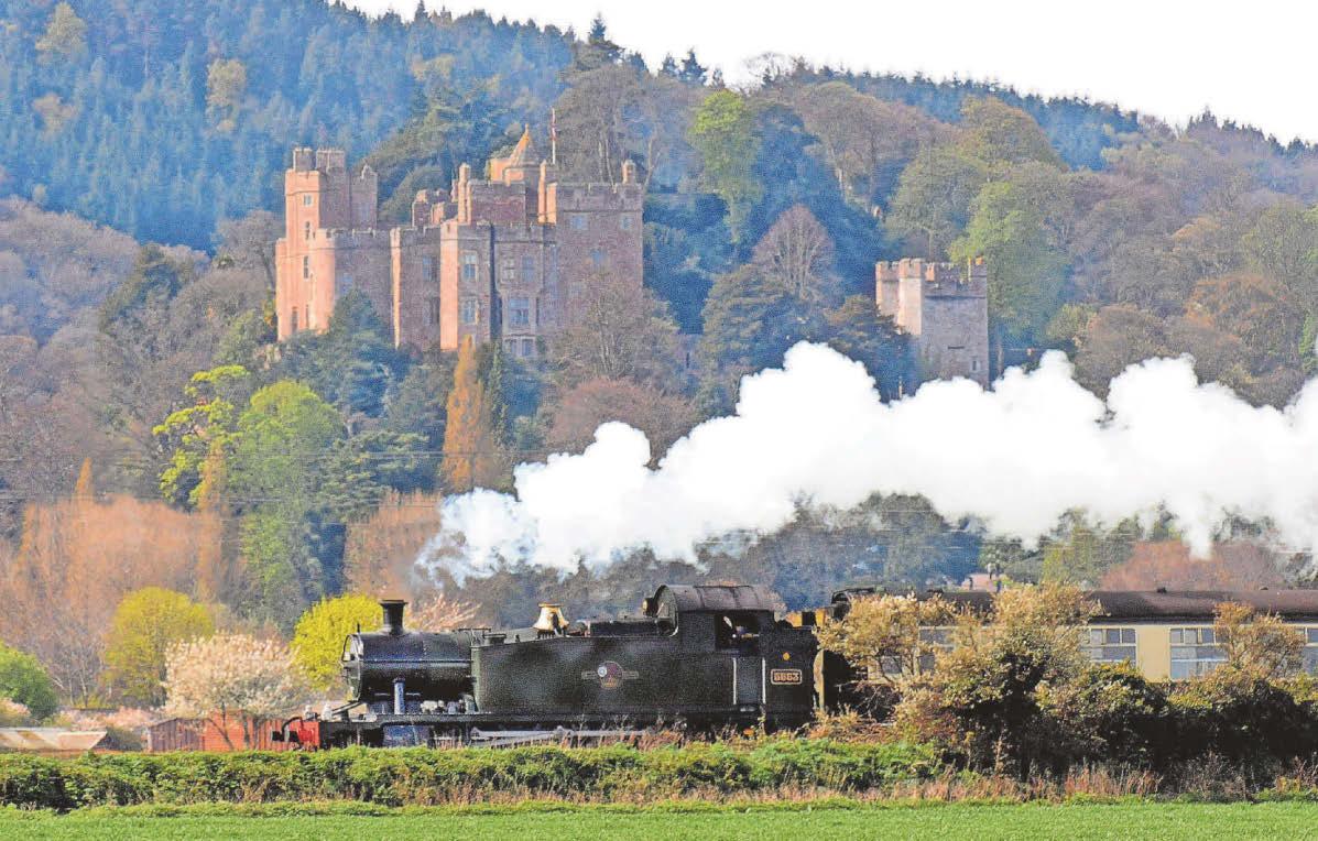 Steam train trips halted after fire next to rail line