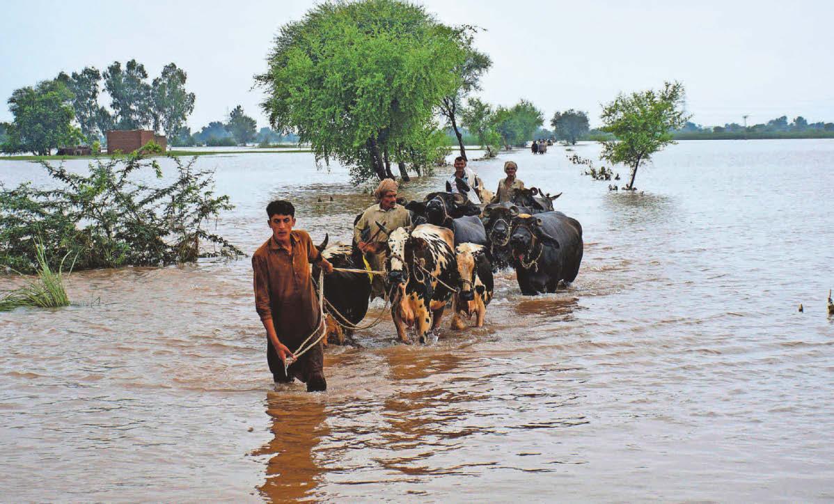 Biggest flood in the history of Punjab province