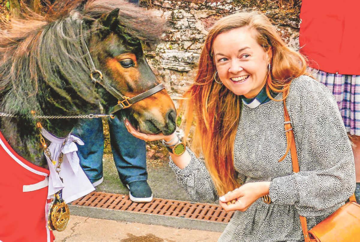 Patrick the pony set to ride to the rescue of visitor centre