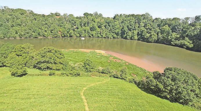 Funding will restore riverside saltmarsh