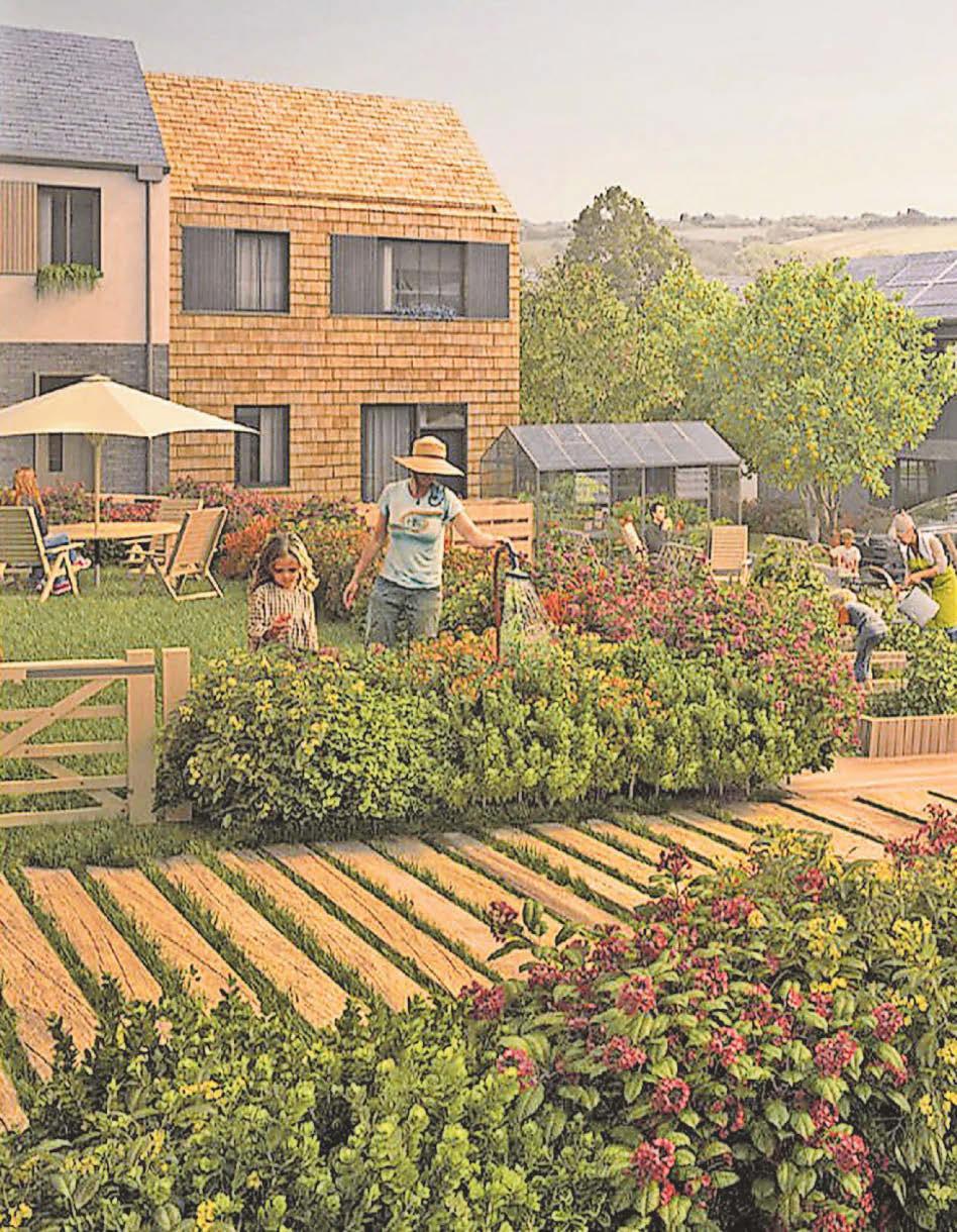 Council sets out plans for housing for locals