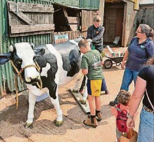 Visitors enjoyed a look behind the scenes at local farm