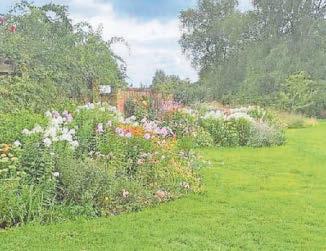 Gardens open to raise vital funds for charity