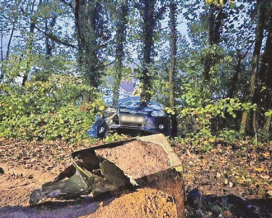 Call for lower speed limits after car crashes off road