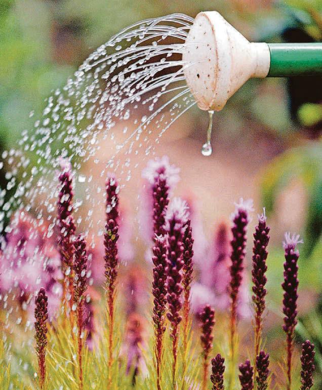 Water saving fund helps community projects