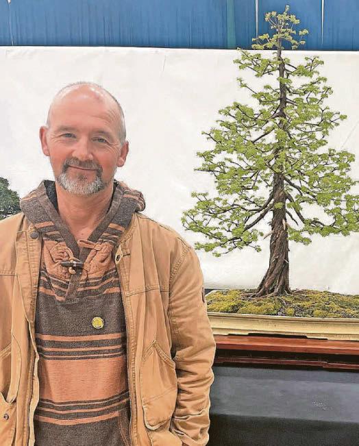Miniature tall tree wins top award for renowned Devon bonsai exhibitor