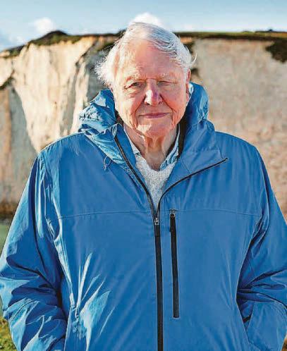 Attenborough: If we save the sea, we save our world