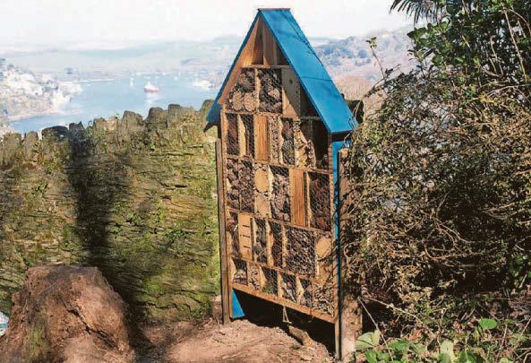 More to attract visitors to South Devon garden